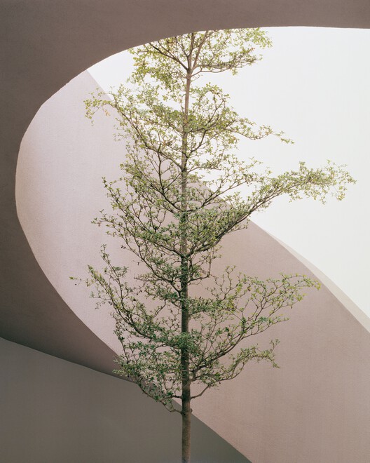 Gyöngyszem Kindergarten / Archikon Architects - Interior Photography