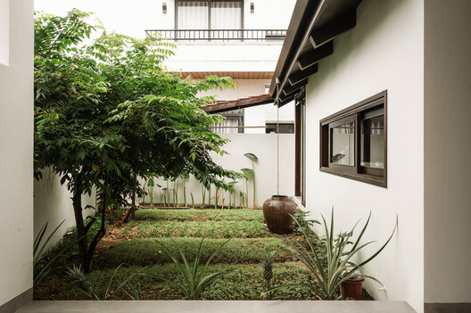 House in Thuan Hoa / 3fconcept - Exterior Photography, Garden, Courtyard