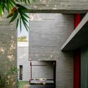 Trees Sliced Through Residence / Matharoo Associates - Houses