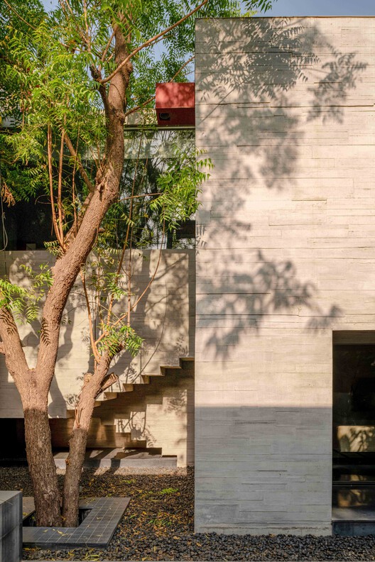 Trees Sliced Through Residence / Matharoo Associates - Image 10 of 18
