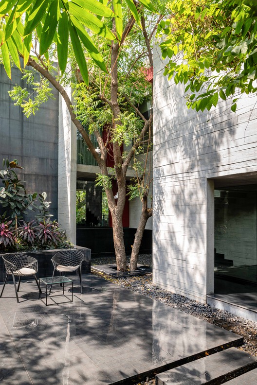 Trees Sliced Through Residence / Matharoo Associates - Exterior Photography, Concrete, Garden, Courtyard