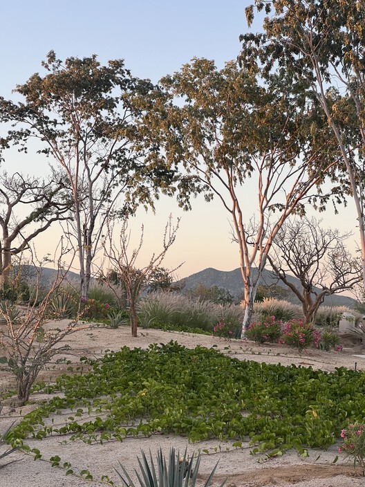 Canyon Entrance Pavillion / Medeza + Querencia Design Center - Image 7 of 9