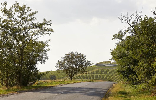 Tokaj Sauska Winery / BORD Architectural Studio - Image 6 of 40