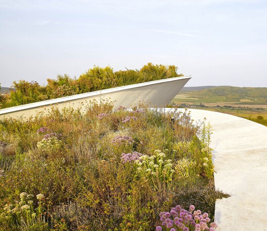 Tokaj Sauska Winery / BORD Architectural Studio - Exterior Photography