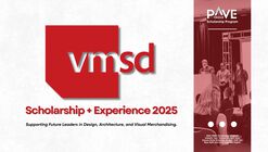 Call for Applications: 2025 PAVE x VMSD Scholarship + Experience