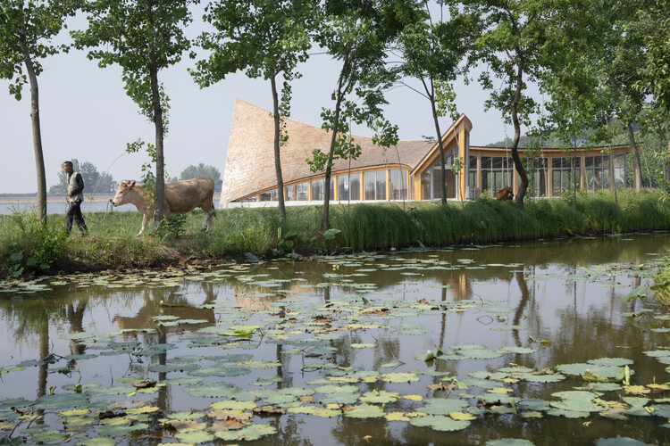 Driftwood Village/Main Architect Center - Fotografía exterior, borde costero