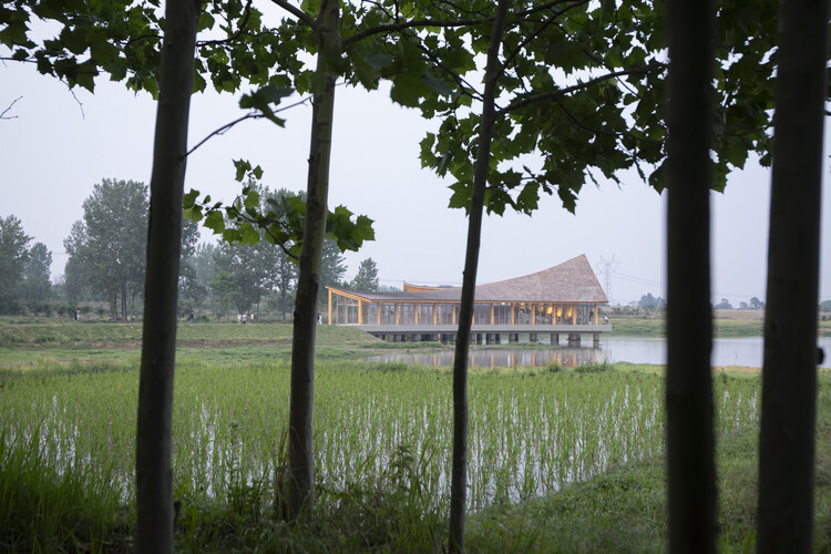 Driftwood Village/Main Architect Center - Fotografía externa