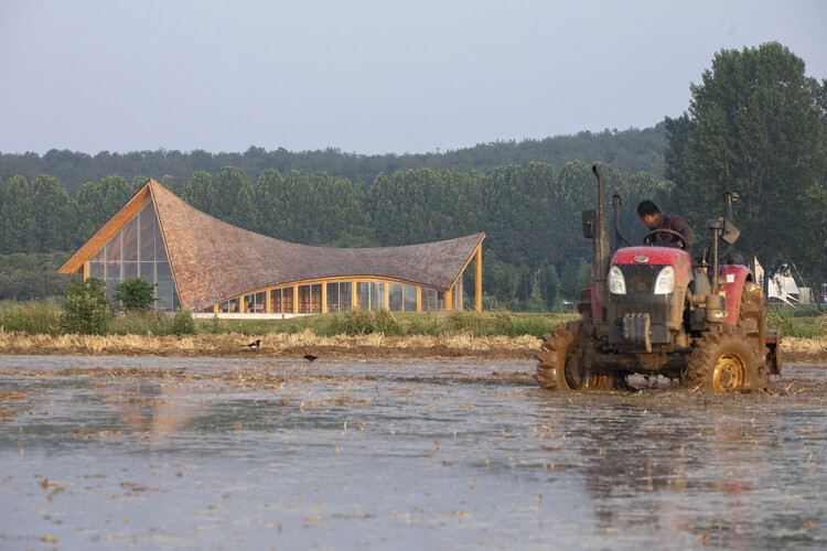 Driftwood Village/Main Architect Center - Fotografía externa