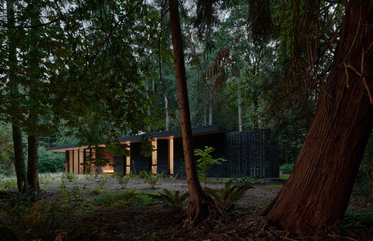 The Rambler Residence / GO'C - Exterior Photography, Wood, Forest
