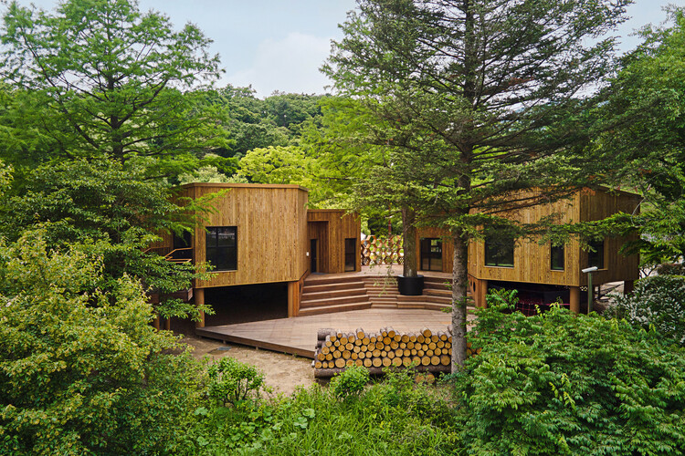 Environments of Curiosity: Translating Pedagogy into Architectural Form in Montessori, Waldorf, and Beyond - Image 47 of 50