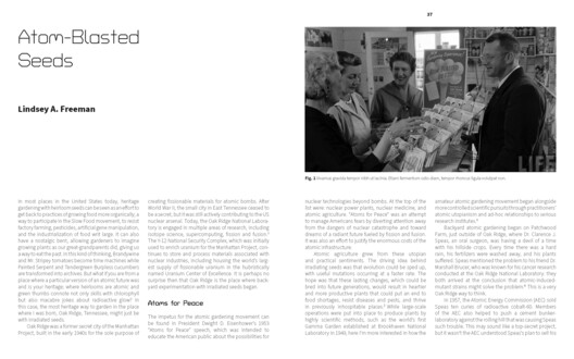 Constructing Invisibility: Infrastructure, Militarization, and the Extreme Environment - Image 4 of 6