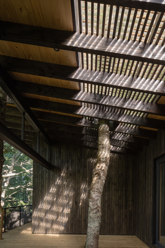 Miradores House / Lucas Maino Fernández - Image 9 of 18