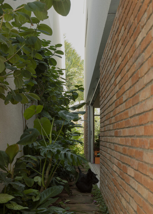 Jardim Paulista House / Messina Rivas - Interior Photography, Brick