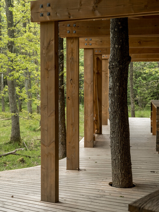 Trailcenter Rytterknægten / Matters architects - Image 10 of 26