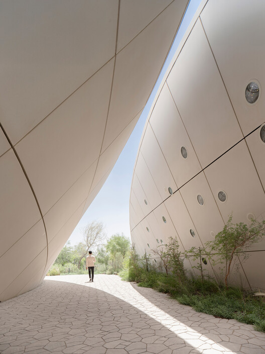 Ghaf Woods Experience Center / AOE + STUDIOI - Image 10 of 24