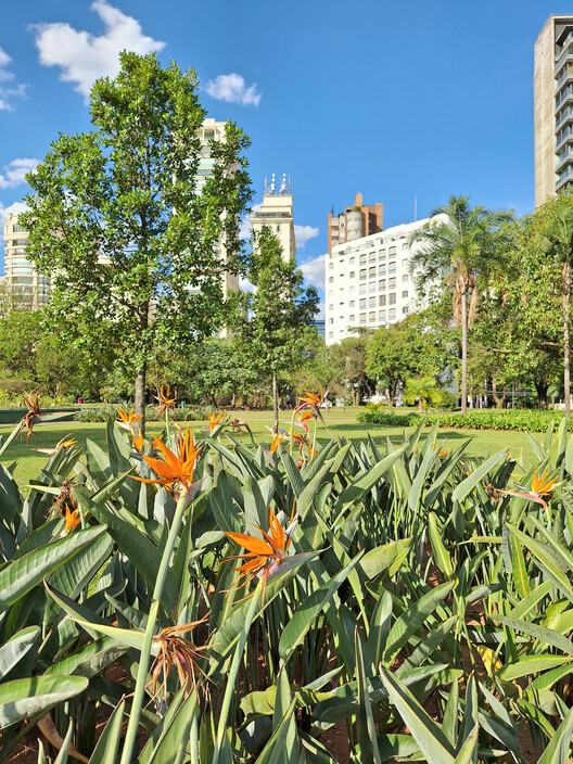 Paisajismo del Parque do Povo - Parque Municipal Mário Pimenta Camargo / Licuri Paisagismo - Fotografía exterior, Jardín