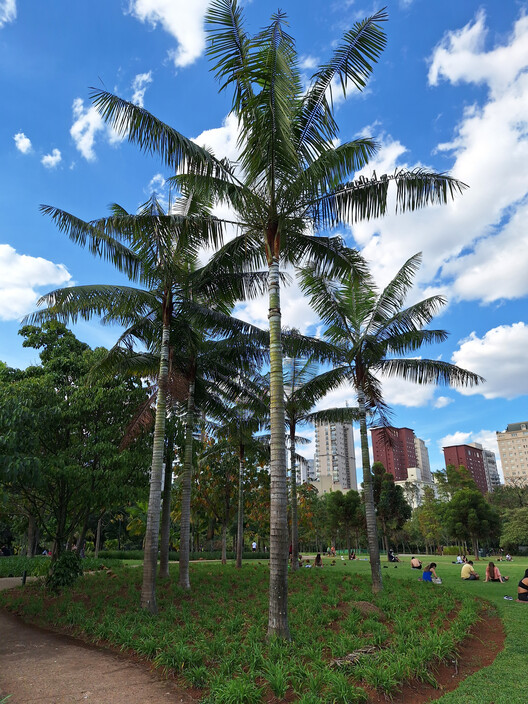 Paisajismo del Parque do Povo - Parque Municipal Mário Pimenta Camargo / Licuri Paisagismo - Fotografía exterior