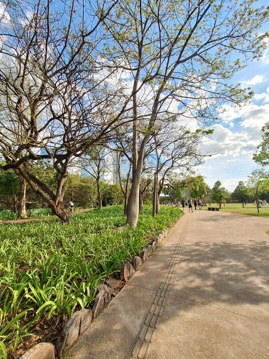 Paisaje del Del Park - Municipal Park Máriopimenta Camargo / Licuri Landscape - Imagen 9 de 24