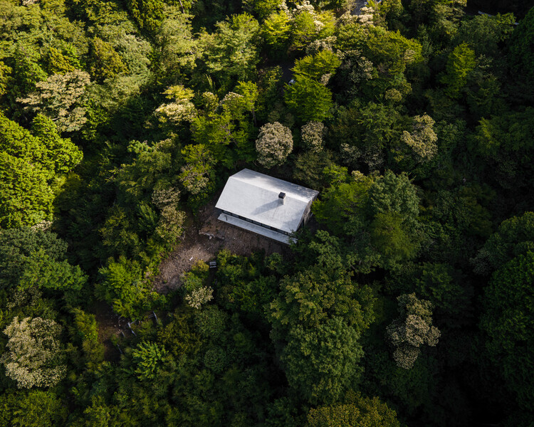 Amagi - Villa T -Flore Photography por Kogen / Florian Busch Architects, Forest