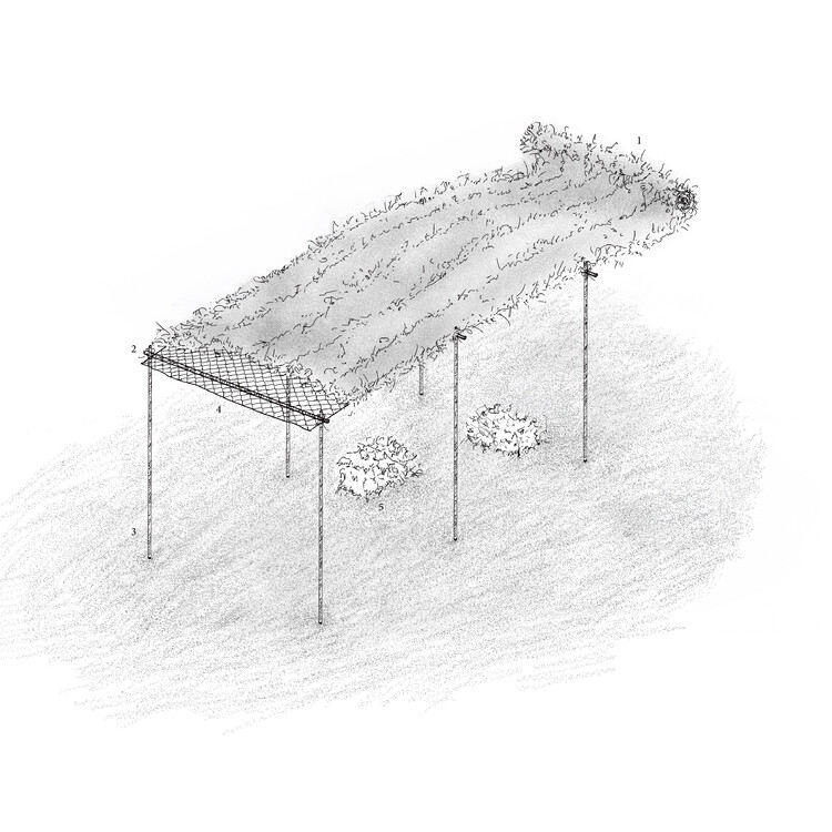 Tierro Trace / Else - Imagen 17 de 17