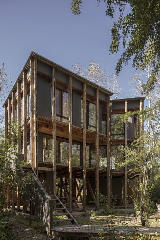 Cabaña en Buenos Aires, Palito Case 5 / Matías Cosenza Architects - Fotografía exterior, madera