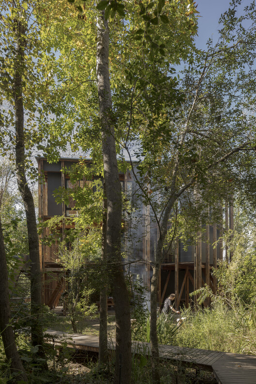 Cabaña en el Delta de Buenos Aires, Palito Caso 5 / Matías Cosenza Arquitecto - Fotografía exterior, Madera
