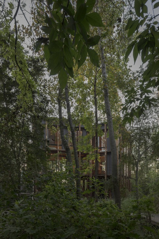 Cabaña en el Delta de Buenos Aires, Palito Caso 5 / Matías Cosenza Arquitecto - Imagen 9 de 26