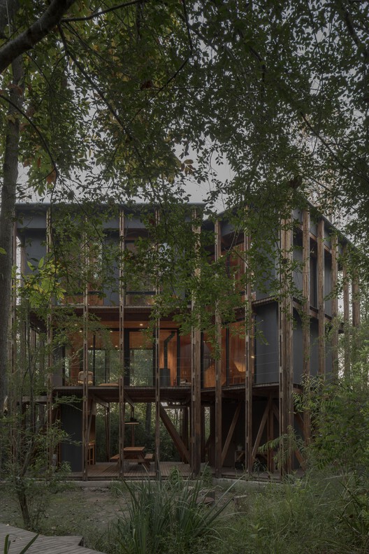 Cabaña en el Delta de Buenos Aires, Palito Caso 5 / Matías Cosenza Arquitecto - Fotografía exterior, Madera