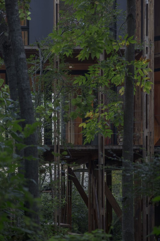 Cabaña en el Delta de Buenos Aires, Palito Caso 5 / Matías Cosenza Arquitecto - Imagen 13 de 26