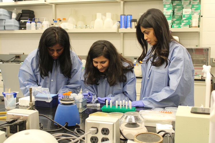 The Architect as Mediator of Materials: Lessons from Hybrid Habitats - Image 1 of 7