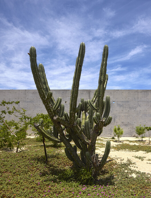 Tradition, Innovation and Experimentation: Contemporary Mexican House Through the Lens of Edmund Sumner - Image 13 of 25