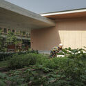 Banyan Tree House  / Anonym - Exterior Photography, Houses, Courtyard