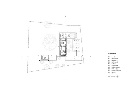 Banyan Tree House  / Anonym - Image 30 of 32