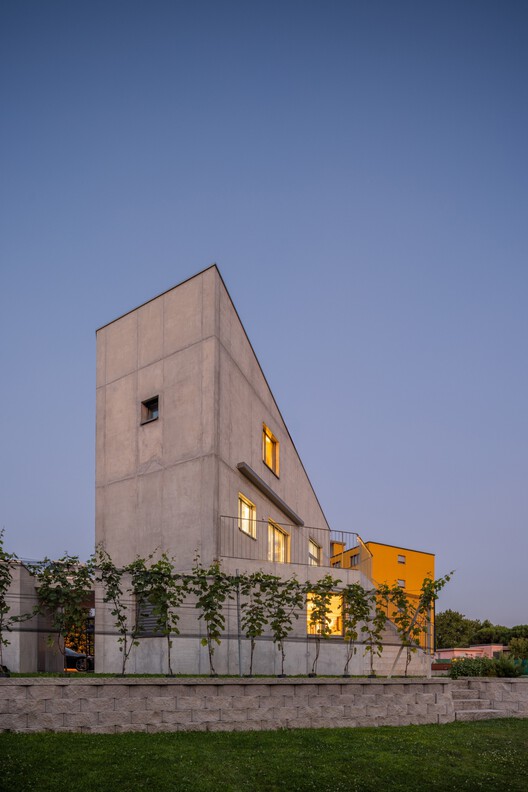 Swisshouse XL / Davide Macullo Architects - Exterior Photography