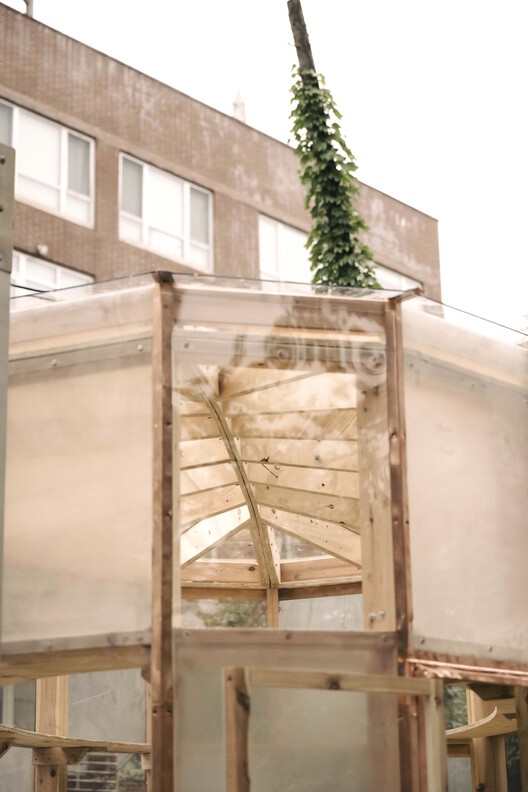Ellipse Greenhouse / SAW.EARTH - Interior Photography, Wood