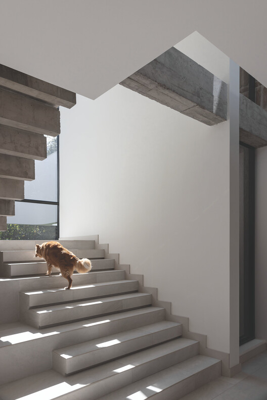 Dominga / nicolas&nicolas - Fotografía interior, Escaleras, Concreto