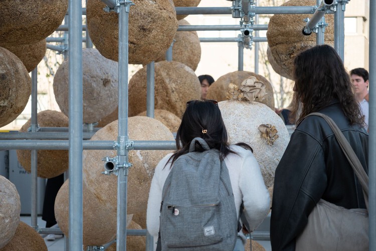 Arquitectos como científicos: nuevos materiales entre ciencia y diseño - Imagen 15 de 16