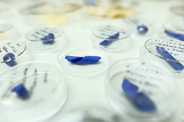 Arquitectos como científicos: nuevos materiales entre ciencia y diseño - Imagen 7 de 16