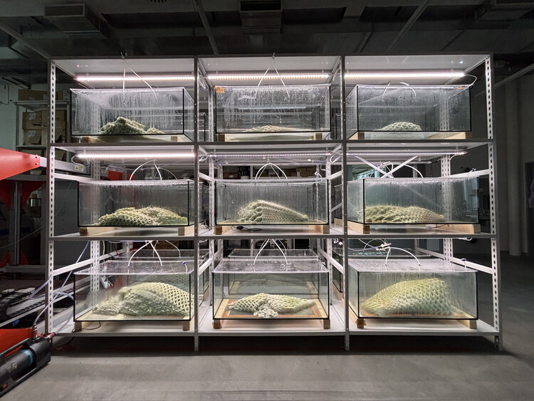 Arquitectos como científicos: nuevos materiales entre ciencia y diseño - Imagen 6 de 16