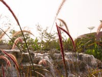 The Sanctum House / RENESA Architecture Design Interiors Studio - Image 29 of 36