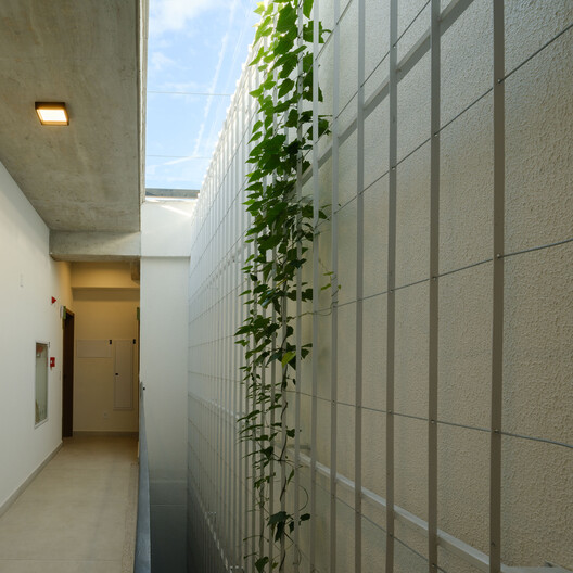 Edifício Botânico / Terra e Tuma Arquitetos Associados - Fotografia de Interiores, Vidro