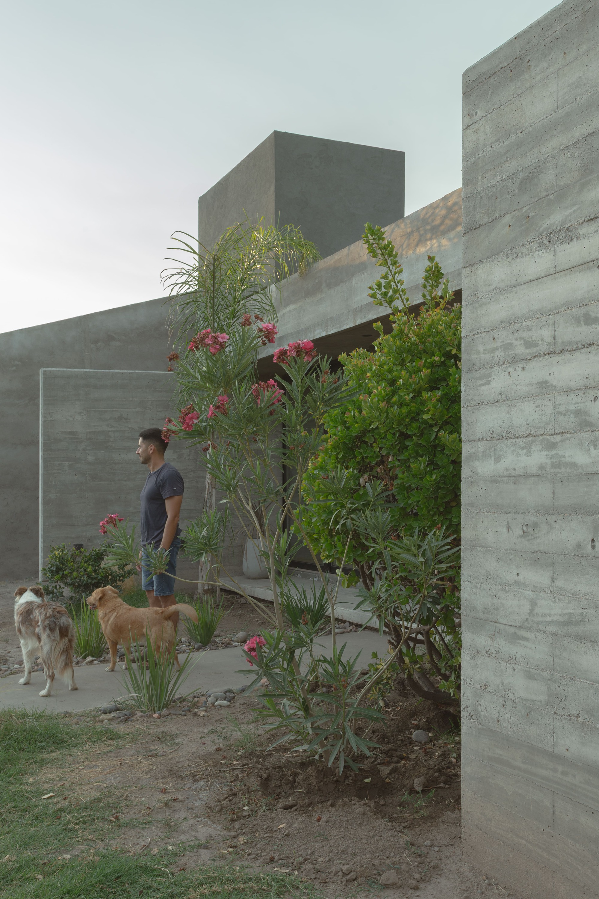 Galería de Casa Ringo / UNO MÁS UNO Arquitectos - 2