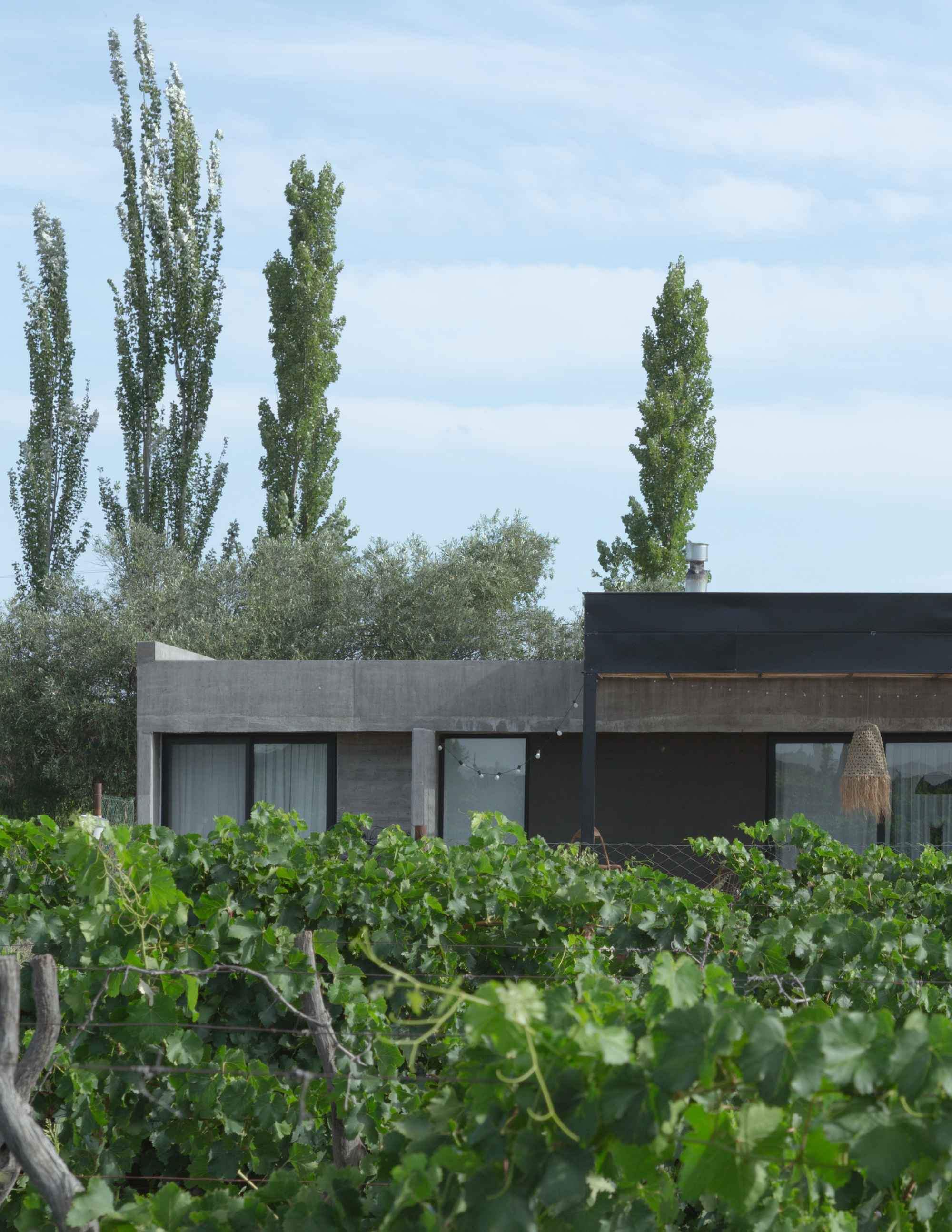 Galería de Casa Ringo / UNO MÁS UNO Arquitectos - 11