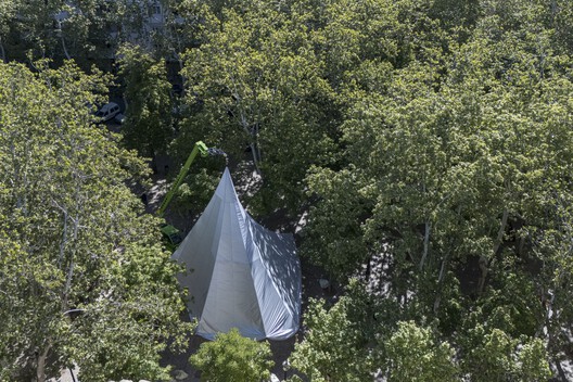 Scenius 26003 展馆 / Daryan Knoblauch - 建筑图, 森林