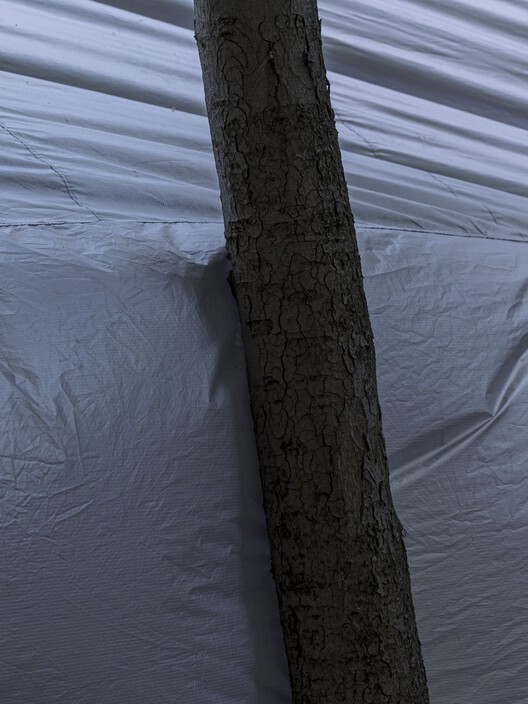 Scenius 26003 展馆 / Daryan Knoblauch - 11 的图像 17