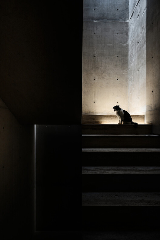 Photografía de la casa-inhiniente de Tao/HW, escaleras