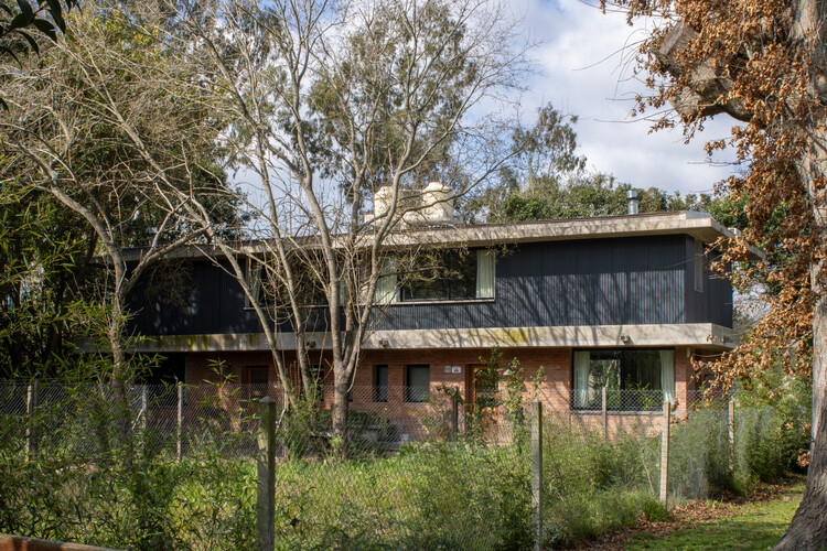 Hermana hermana/Simón Albina - Fotos exteriores, jardín