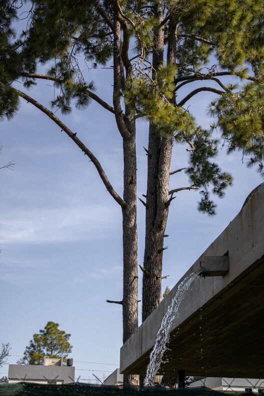 Sister Houses / Simón Albina - Image 17 of 23