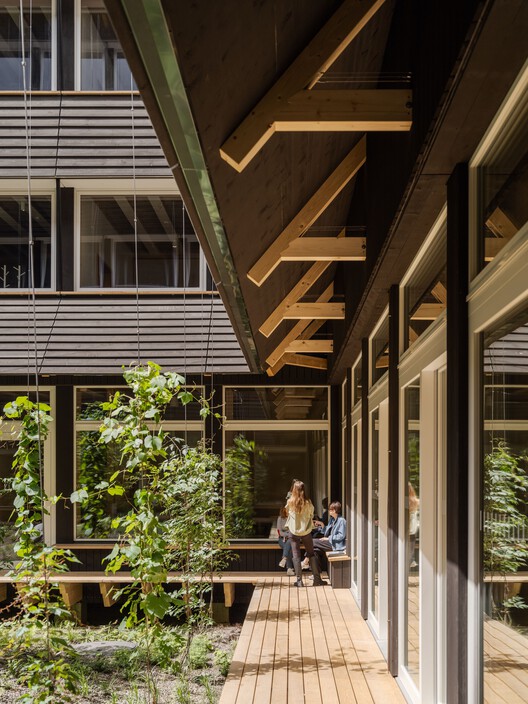 Hortus Allschwil / Herzog & de Meuron - Interior Photography, Wood