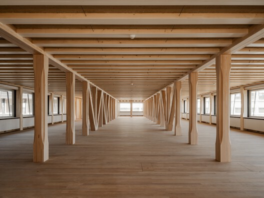 Hortus Allschwil / Herzog & de Meuron - Interior Photography, Wood, Beam, Column
